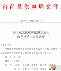 关于成立供电所组织专业化 改革领导小组的通知