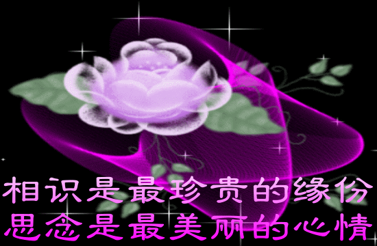 空间4.gif