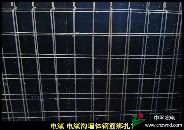 640.webp (9).jpg