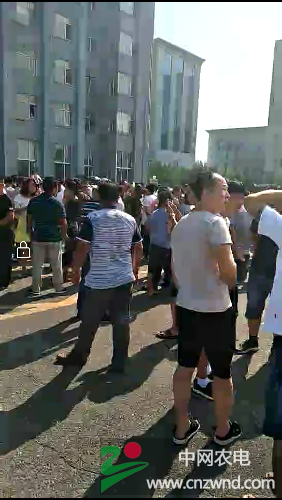 Screenshot_2017-07-31-09-31-56-662_com.miui.video.png