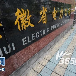 安徽省电力公司公车改革被指化公为私 职工称车改猫腻多