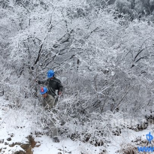 湖北九宫供电坚守高海拔雪后巡线保供电