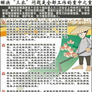 “三农”问题