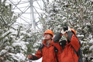温州普降大雪 电力人全力保供电