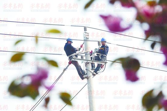 市供电公司一天改造4条线路。