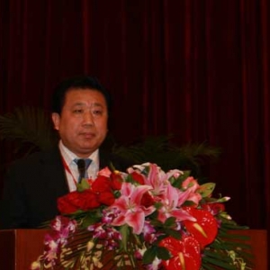 强化农网政策支持 促进新疆农电发展