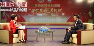王抒祥：特高压电网安全可靠 用事实回击了质疑