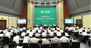 国家电网召开迎峰度夏安全生产电视电话会议（图）