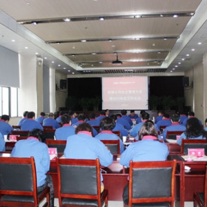 中能建安徽电建二公司检修公司召开民主管理大会暨2015年度工作会议