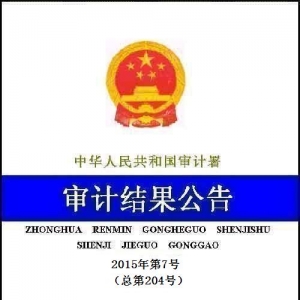 审计署公布国家电网2013年度财务收支审计结果