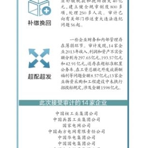 审计署：国家电网公司低价卖电少收十几个亿