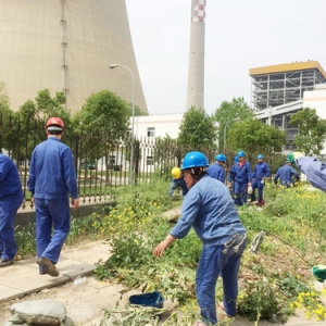 阜阳项目部组织党团员开展生活区义务清扫活动