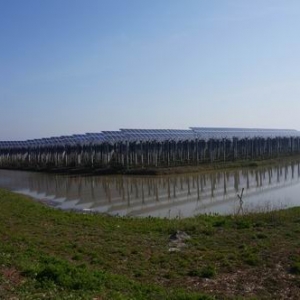 安徽电建二公司承建的淮南焦岗湖二期光伏项目并网发电