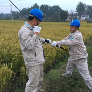 淮阴陈集供电所为拉线穿上“防撞衣”