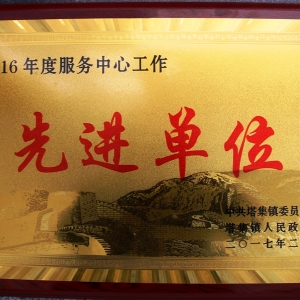 江苏金湖塔集所：荣获塔集镇“2016年度服务中心工作先进集体”