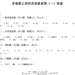 农电职工知识及技能试卷（一）答案