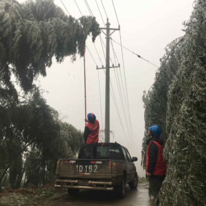 国网湖北电力做好应急处置工作 确保电网安全运行
