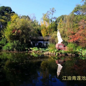 七律 : 猪年侃猪    文\唐春林
