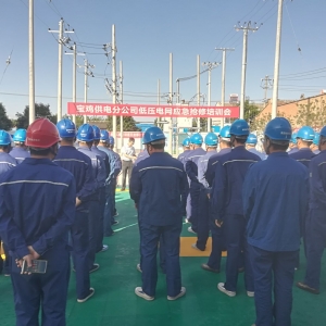 强化应急能力培训、提升应急管理水平 ---宝鸡分公司在凤翔分公司举行低压电网应急抢修 ...