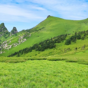 秦岭深处的净土-鹿角梁