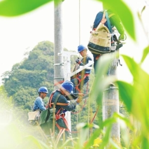 贵州黄泥塘镇独立供电区配电网项目全面建成，11877户群众用上“南网电”